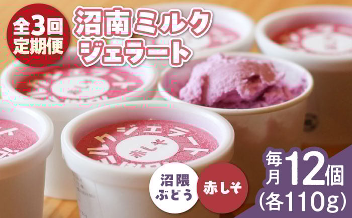 
            【全3回定期便】アイス 沼南ミルクジェラート 沼隈ぶどう＆赤しそ 各6個 食べ比べセット ぶどう 赤しそ ジェラート セット アイスクリーム デザート スイーツ ご当地 ニューベリーA フルーツ ゆかり グルメ お取り寄せ お土産 食べ比べ 冷凍 贈答 贈り物 濃厚 さっぱり ミルク 新鮮 果物 特産品 美味しい おいしい 贅沢 カップアイス 定期便 広島県福山市/甚ごろう [BAEC050]
          