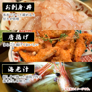 本エビ 3パック 900g 産地直送 しずおか食セレクション認定品 静岡県 沼津 戸田