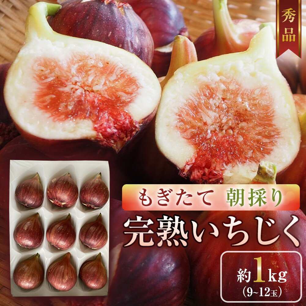 【ふるさと納税】【期間限定】もぎたて朝どり完熟いちじく　秀品 約1kg（9～12玉）／愛知県産　サマーレッド　いちじく　イチジク　無花果　果物　フルーツ　 | 果物 フルーツ いちじく 1kg 愛知 大府 送料無料 イチジク 無花果 完熟 高品質 甘い 新鮮 お中元 ギフト