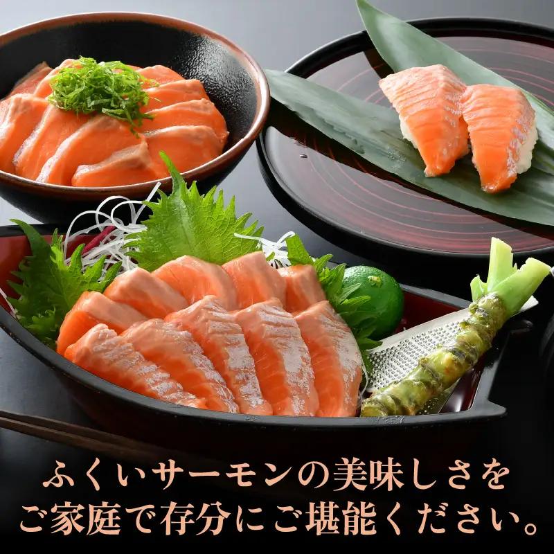 《定期便6回》ふくいサーモン 柵どり 150g×4パック 計600g ＜鮮度抜群！＞ ／サーモン 鮭 [aw002-k001]