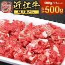 【ふるさと納税】近江牛 切り落とし 500g　牛肉 和牛 黒毛和牛 国産　AI10