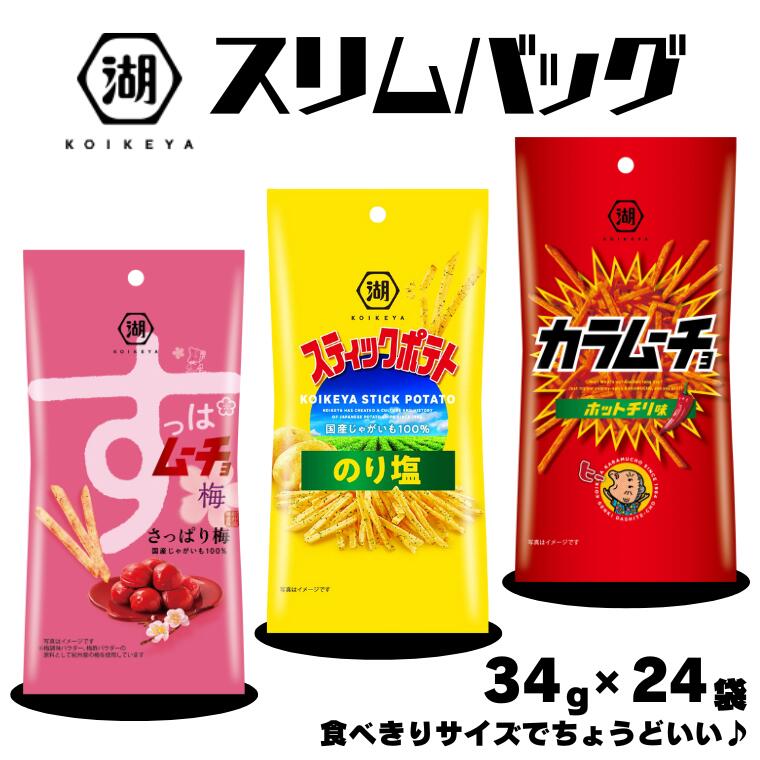 【ふるさと納税】選べる《湖池屋》スリムバッグ スティックポテト　34g×24袋（全3種） 【ポテチ】