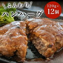 【ふるさと納税】ハンハーグ　120g×12個 ふるさと納税 ハンバーグ デミグラス お惣菜 千葉県 白子町 送料無料 SHAF006