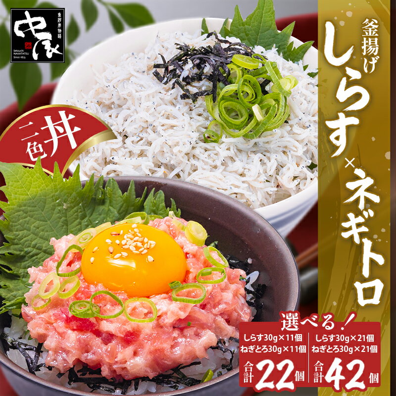 【ふるさと納税】 釜揚げしらすとネギトロ二色丼セット(計22パック～計42パック) | 冷凍 小分け 釜揚しらす 魚 常備品 しらす丼 しらすパスタ しらすチャーハン 炒飯 しらす干し 海鮮丼 ねぎとろ まぐろ ねぎとろ丼 おつまみ たんぱく質 愛媛県 松山市