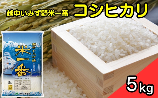 【R7年度産米】越中いみず野米一番 5kg（コシヒカリ）｜米 こめ コメ こしひかり 令和7年産米 ブランド米 銘柄米  等級検査 1等米 人気 ランキング 富山 富山米 北陸 北陸米 富山コシヒカリ 北陸コシヒカリ 精米コシヒカリ 5キロ  5kg 5kg米 送風乾燥 色彩選別 低温貯蔵 白米 小分け 送料無料 富山県産 射水市産 ※2025年9月中旬～2026年8月下旬頃に順次発送予定