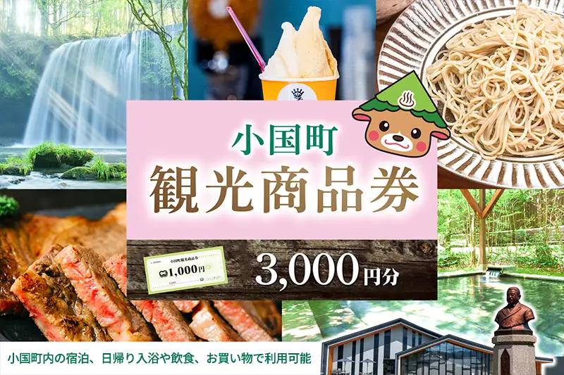 【ASOおぐに観光協会】現地お渡し 阿蘇 小国町 観光商品券 1000円×3枚 3千円 三千円 杖立温泉 わいた温泉郷 湯けむり 蒸し湯 ジャージー牛乳 小国杉 旅行 観光 宿泊 飲食 お買い物 お土産 商品券 宿泊券 1000円券 3枚 現地払い利用 地域振興 旅行支援