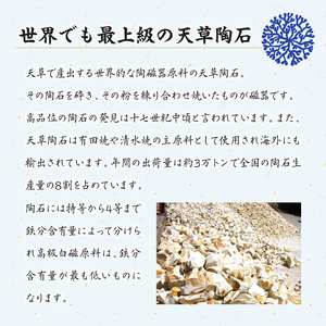 S026-069_天草 高浜焼 楕円カレー皿 3枚（青）