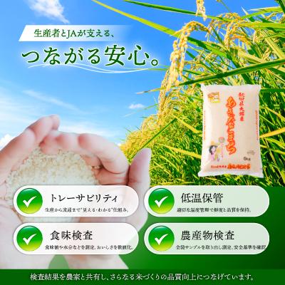 ふるさと納税 大館市 【令和7年産】秋田県大館産あきたこまち　5kg |  | 03