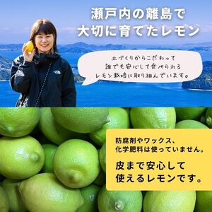 グリーンレモン 約2kg 有機JAS認証取得 フルーツ 果実 広島県産有機 オーガニックレモン 10~11月発送予定 国産 瀬戸内レモン 大崎上島 送料無料 産地直送 ふじやファーム