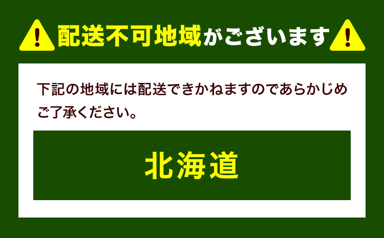 中玉フルーツトマト ゼッピン娘 900g カラフルトマト 900g 計1.8kg 希少な品種 華おとめ 甘い 野菜 結城市産 ゼッピン娘 華おとめ 中玉品種 皮が薄い 薄皮 サラダ 前菜 食材 料理《