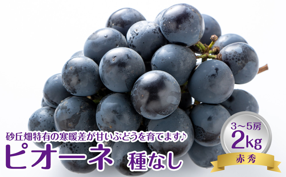
            737.【先行予約】【JA】ピオーネ（種なし）赤秀2kg箱（3～5房入） ※着日指定不可 ※離島への配送不可 ※2025年8月初旬頃～8月下旬頃に順次発送予定【ぶどう ブドウ 葡萄 ピオーネ 赤秀 フルーツ 果物 鳥取県 北栄町 おすすめ 人気】
          
