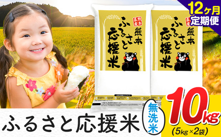 【12ヶ月定期便】米 無洗米 家庭用 熊本 ふるさと応援 定期便 米  10kg《申込み翌月から発送》 熊本県産 精米 山江村 ブレンド米 国産 おうちご飯 予約 返礼品 発送 配送 SDGs わけあり むせんまい お米 おこめ