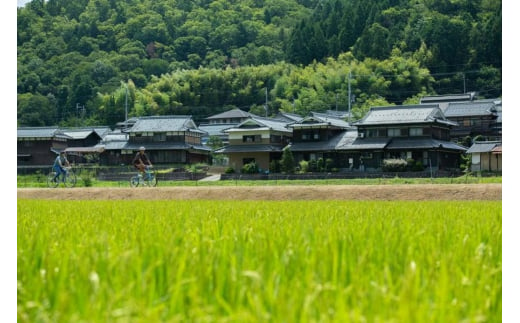 篠山城下町ホテル NIPPONIA サイクリングガイドツアーリクエストプラン ペア宿泊券（2食付）　グルメ 自然 豊か 文化 美しい 篠山城跡 街並み まちなみ 城下町 趣 非日常