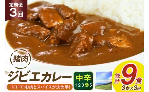 カレー スパイス 平戸 イノシシ カレー 3食 セット 3回 定期便 総計 9食 [平戸ファクトリー 長崎県 平戸市 hr42bgy400169] カレーライス ライス レトルト 本格 いのしし 猪 シシ ジビエ 猪肉