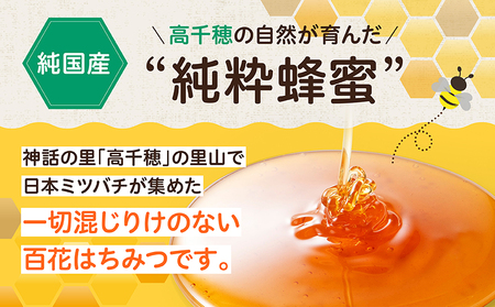 【6ヶ月定期便】日本みつばち 高千穂の純粋蜂蜜 300g×2本 セット 瓶 蜂蜜 はちみつ ハチミツ 百花蜜 自然蜜100% 調味料 定期 はちみつセット 瓶 贈答 贈り物 ギフト プレゼント おすそ