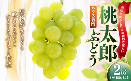 岡山県産 桃太郎ぶどう 2房 （ 1房480g以上 ） ハウス栽培 果物 くだもの 果実 フルーツ 葡萄 ぶどう ブドウ 国産 皮ごと 【 2026年7月上旬～8月下旬発送予定 】