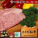 【ふるさと納税】とちぎ和牛・前日光和牛（サーロイン250g×2枚／4枚）｜肉 お肉 和牛 最高級 A5ランク A5等級 ステーキ | お肉 牛肉 にく