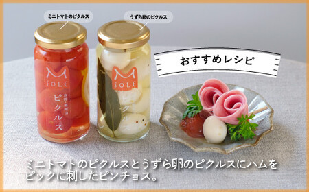 京都・福知山ピクルス　3本セット FCBV002