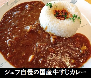 シェフ自慢のあんずチャツネ入り国産牛すじカレー【中辛】5食（230g×5袋、辛みスパイス5袋）　おもむき屋[F4483]