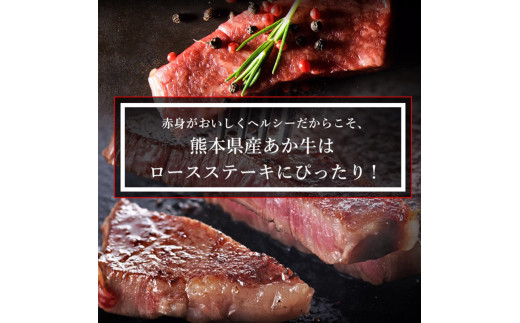 【矢野畜産】産地直送 くまもと 国産 熊本 阿蘇 和牛 あか牛 褐毛和種 あかげわしゅ ロースステーキ 400g 赤身 サシ プレミアムハンバーグ 150g 5個 750g 矢野畜産 にくやの 老舗 