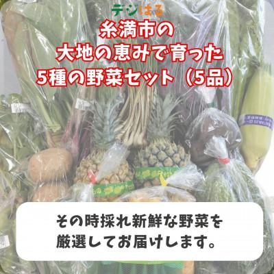 ふるさと納税 糸満市 【2024年12月〜2025年4月発送】産地直送!糸満市で丹精込めて育てた野菜セット5品 |  | 02
