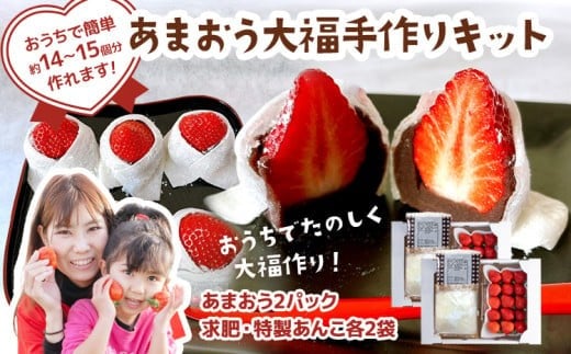 あまおう大福 手作りキット（2セット） 大福 和菓子 セット【2026年1月～4月にかけて順次出荷予定】餡子 あん お菓子 手作り 苺 いちご 大木町 池上農園 BD03