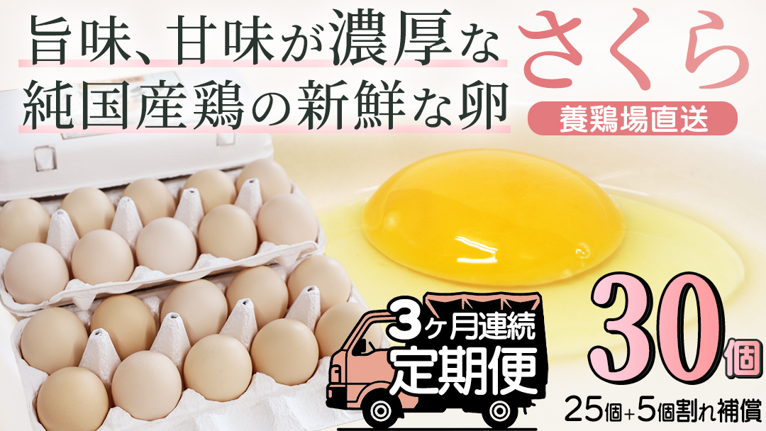純国産鶏【さくら】純たまご30個入り (破損保証5個含む)【3ヶ月連続お届け】 (AJ028)
