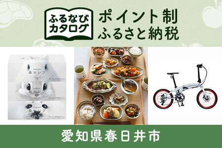 【有効期限なし！後からゆっくり特産品を選べる】愛知県春日井市カタログポイント