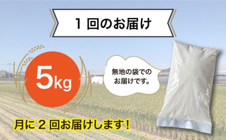 【全6回定期便】とにかくおいしいお米 夢つくし お米 5kg 糸島市 シーブ [AHC022] お米 5kg 送料無料 ギフト おこめ 5キロ 米 定期便