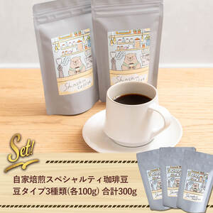 ＼ロースター が セレクト！／珈琲豆 3種 飲み比べ セット＜豆タイプ＞(合計300g・各100g×3種) コーヒー【しんしろ珈琲】A761