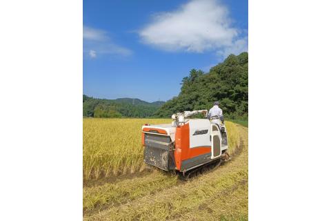 【新米先行予約】【令和6年度産】旭町産コシヒカリ・きぬむすめ　食べ比べセット　各5キロ＜2024年10月下旬以降の発送予定＞ 米 お米 こしひかり きぬむすめ 食べ比べ セット 農家直送 精米 白米 