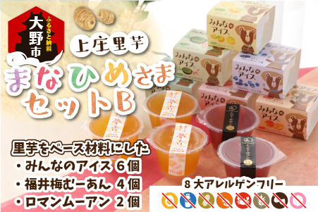 【アレルギー対応スイーツ】まなひめさまセットＢ(里芋ベースのゼリー風スイーツ&アレルギー特定原材料8品目不使用のアイス)【グルテンフリー】[B-031002]|食物繊維 体に優しい 脂肪分ゼロ