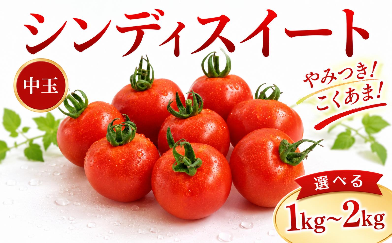 
                  トマト シンディスイート 選べる 1kg 2kg 甘い 完熟 新鮮 産地直送 トマト フレッシュ 中玉トマト ミニトマト プチトマト フルーツトマト 家庭用 贈答用 お取り寄せ サラダ スープ パスタ こだわり栽培 野菜セット 送料無料 みよし 徳島県 三好市
                