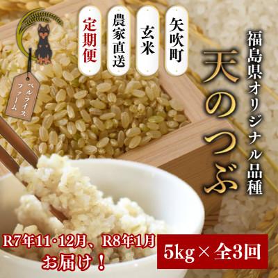 ふるさと納税 矢吹町 【発送月固定定期便】【2025年11月より順次発送予定】玄米 農家直送 天のつぶ 5kg全3回
