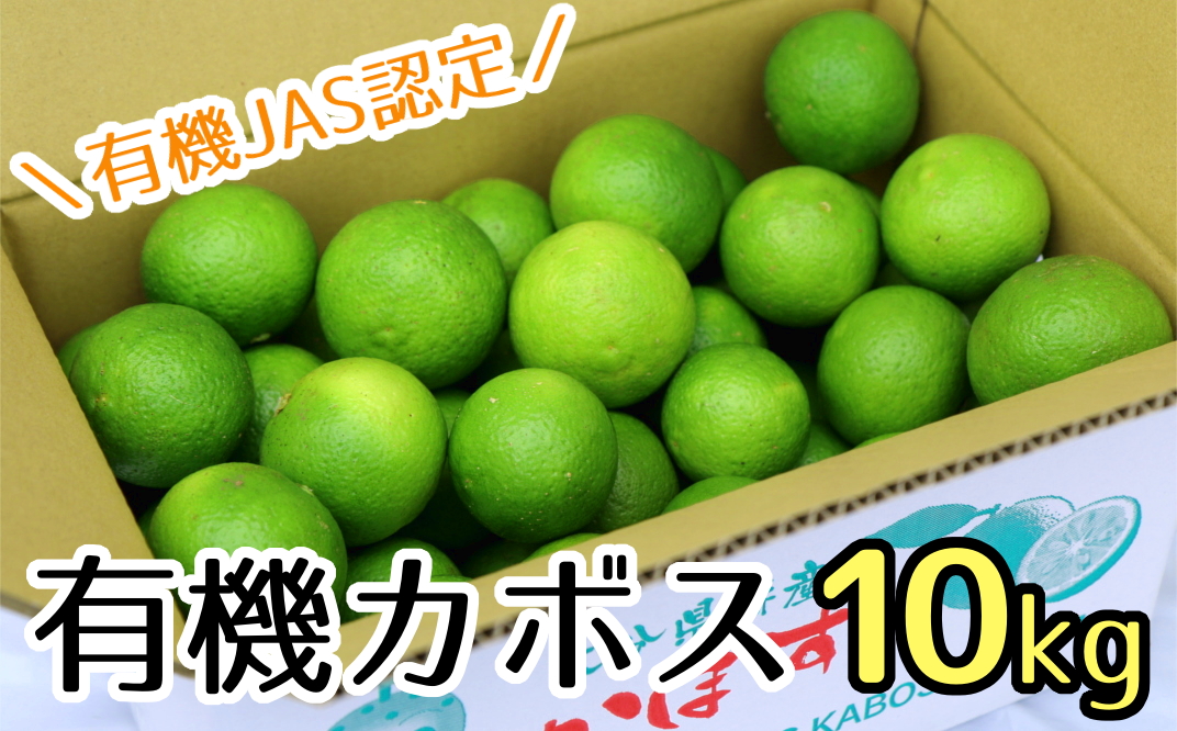 【先行予約】安心安全♪有機JAS認証のかぼす青果（10kg）