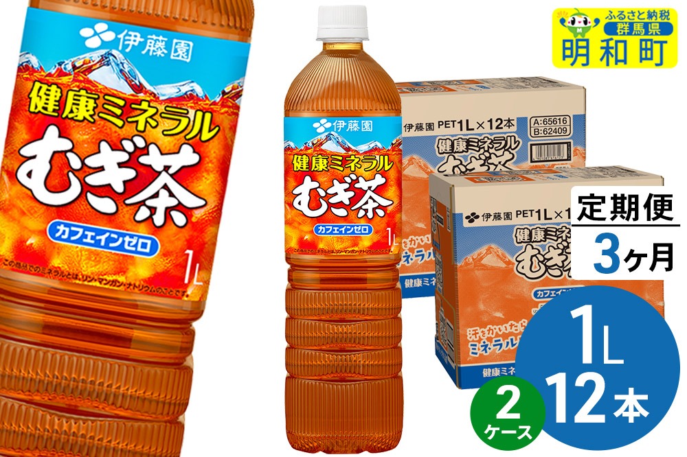 《定期便3ヶ月》健康ミネラルむぎ茶 伊藤園 ＜1L×12本＞【2ケース】 [ふるさと納税 お茶 麦茶 ペットボトル 国産 伊藤園]|10_itn-352403