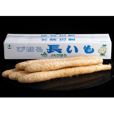 ふるさと納税 美幌町 [先行受付]「数量限定」長いも・5kg |  | 03
