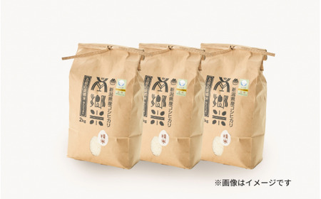 【令和7年産米】〈3回定期便〉特別栽培米コシヒカリ 「南郷米」精米 6kg(2kg×3袋) |五泉市 コシヒカリ