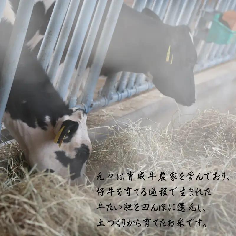 【令和7年産 】ひとめぼれ 玄米 30kg 奥州平泉黄金米【aoki010C】