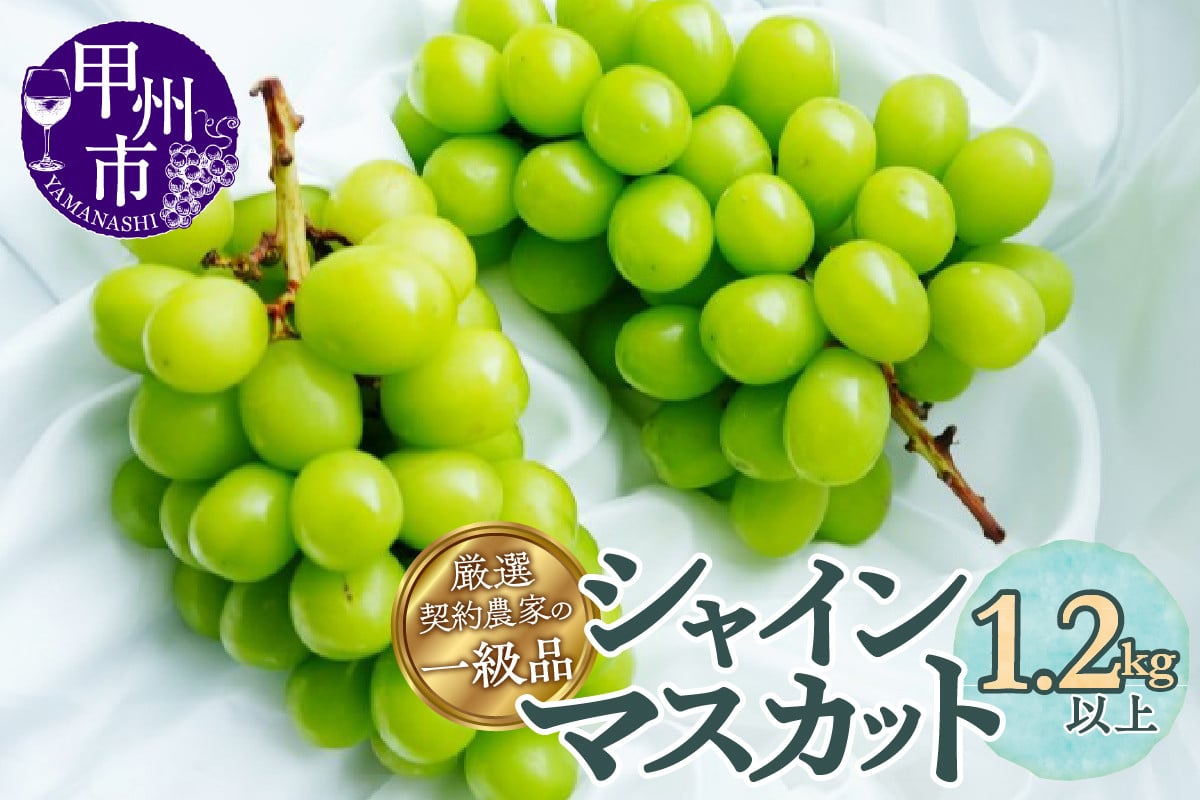 厳選契約農家の一級品シャインマスカット1.2㎏以上
