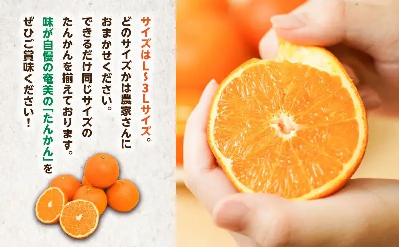 【 2027年度 先行予約 】たんかん 5kg A021-027 期間 数量 限定 タンカン 甘い 糖度12度前後 みずみずしい 果汁たっぷり 柑橘 旬 冬 果物 フルーツ サイズ おまかせ 奄美大島