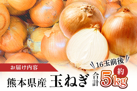 【先行予約】熊本県産 玉ねぎ 5kg (16玉前後) ≪2026年4月下旬から順次発送≫ 玉葱 野菜 数量限定 JAS たまねぎ オニオン 甘い ハンバーグ 肉じゃが 065-0636