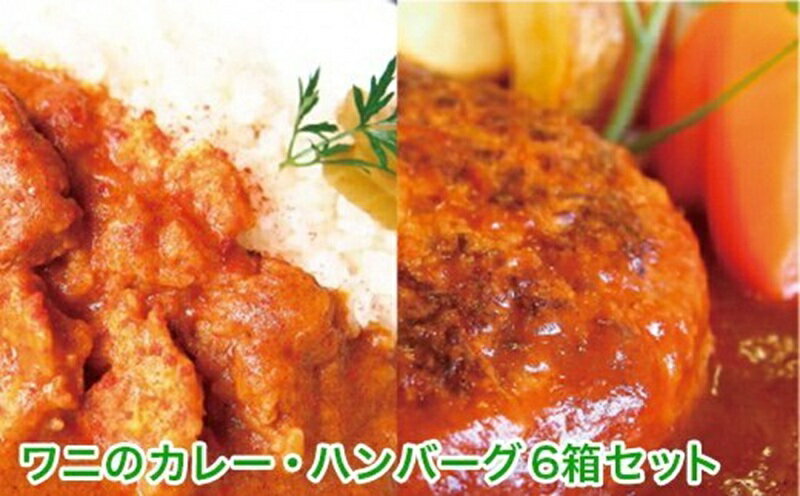 【ふるさと納税】 レトルト カレー ハンバーグ セット 各3食 焼津 動物園 イズー ワニ肉 クロコダイル リッチ タイ産 シャムワニ肉 湯せん a13-008