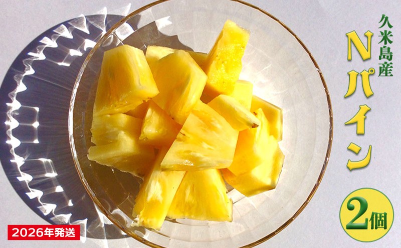 
【2025年発送】久米島印商店 パイナップル（ハワイ種Ｎ67-10）2個（1.5kg以上×2） パイナップル パイン ハワイ種 Nパイン ハワイ スムースカイエン 酸味 甘み バランス 人気 ジューシー 芳醇 フルーツ 果物 デザート ヨーグルト サラダ ジャム ジュース 久米島
