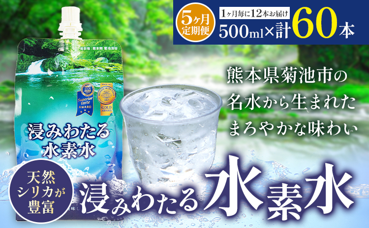 【5ヶ月定期便】浸みわたる水素水 12本 内容量 1本500ml 計30L《お申込み翌月から出荷》水 水素水 天然水 飲料水 ミネラルウォーター アルミパウチ パウチ 国産 九州産 熊本県産 菊池市産