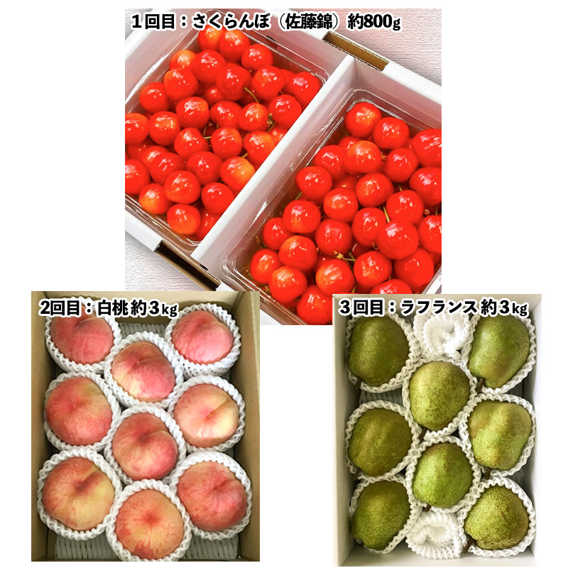 【定期便3回】山形市至高のフルーツ定期便 全3回C 6月発送