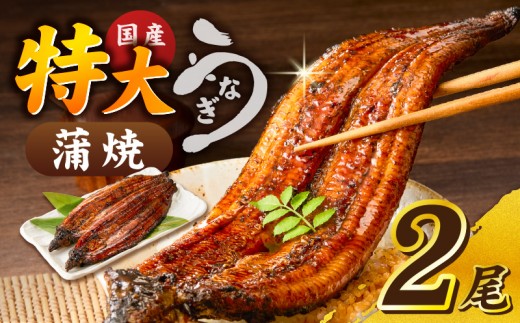 うなぎの蒲焼 2尾セット（特大サイズ 一尾 170g～200g）_うなぎ 蒲焼 2尾 セット 特大サイズ 一尾170g～200g たれ付き 鰻専門問屋 樋口商店 鹿児島 宮崎 国産 ジャポニカ種 真空パック ギフト お取り寄せ グルメ うな丼 うな重 ひつまぶし お土産 手土産 贈り物 プレゼント お中元 職人 送料無料_Cu001