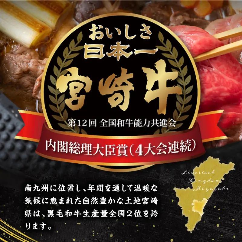 宮崎牛・宮崎県産豚・ハンバーグが毎月届く！ミヤチク堪能定期便(総重量10.4kg) 牛肉 ハンバーグ 焼肉 しゃぶしゃぶ