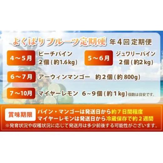 パイナップル2種とマンゴー、マイヤーレモンのよくばり定期便