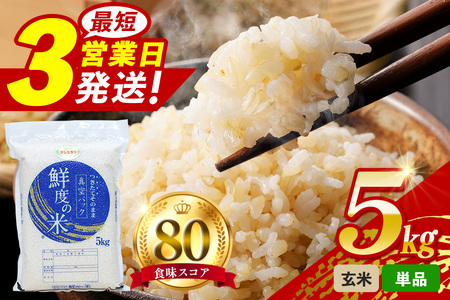 玄米 5kg 真空パック A17-012